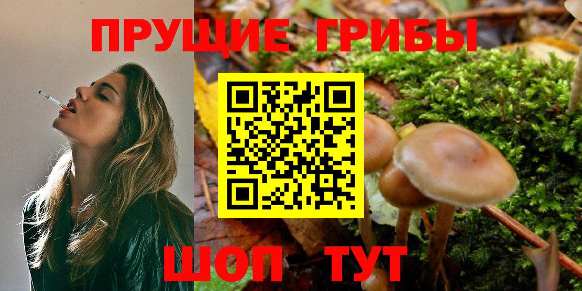 Псилоцибиновые грибы Magic Shrooms Красноармейск