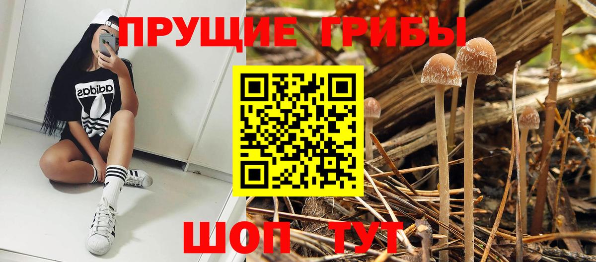 Псилоцибиновые грибы Psilocybine cubensis  Вход с VPN  Псилоцибиновые грибы Cubensis  Красноармейск 